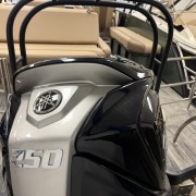 2026 Godfrey MC255MTF Tripletoon - Sage/Black