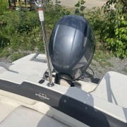 2019 Stingray 191 DC